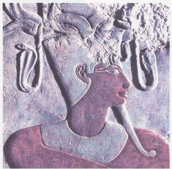 Moses worshipped and trusted God. Received and applied God's order for Israel